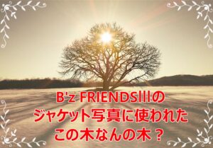 B'z FRIENDS3ハルニレの木