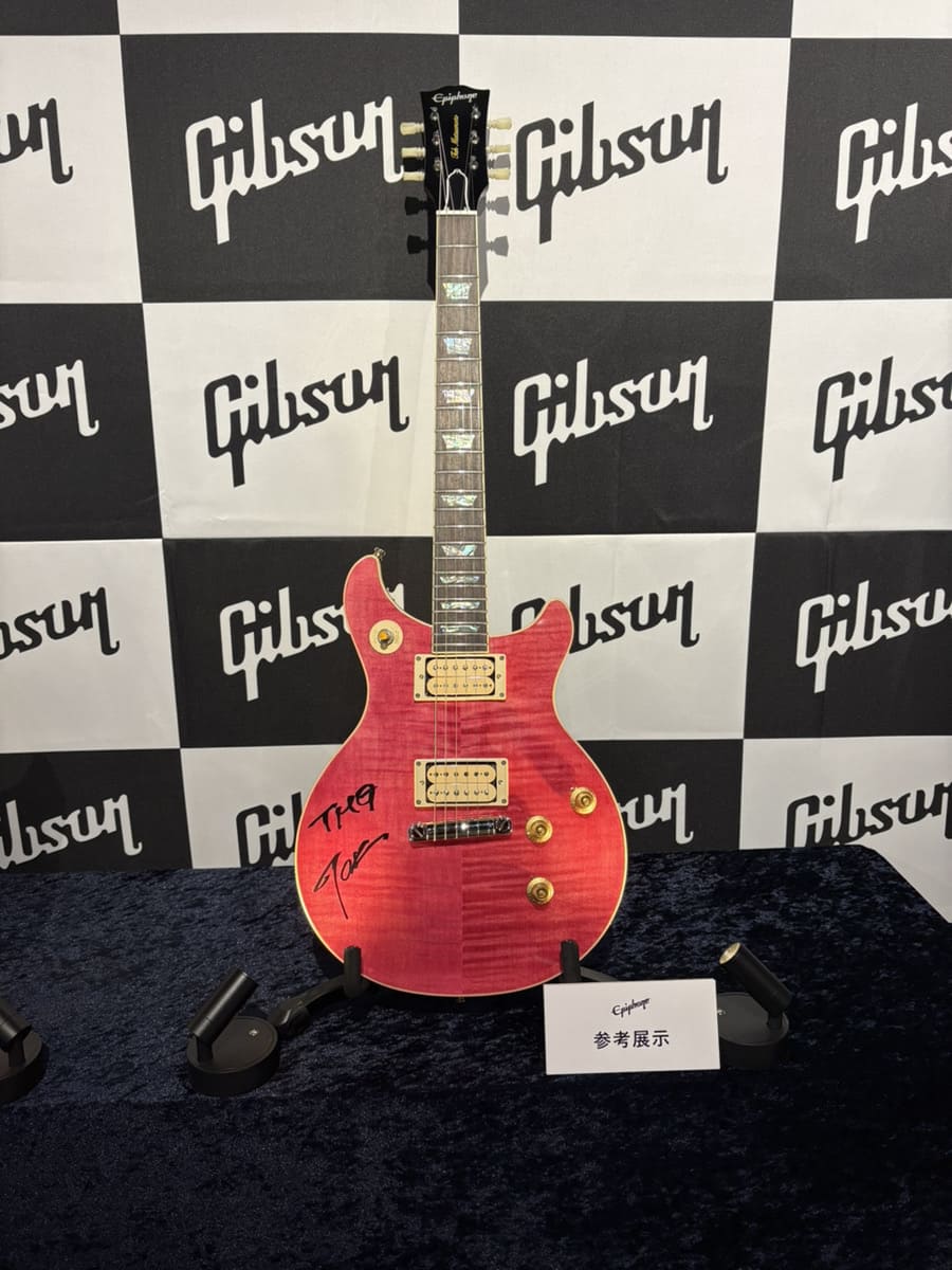 Tak Matsumoto DC Standard Flame Top / Translucent Pink